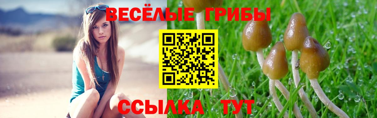 Псилоцибиновые грибы Psilocybe  Вход с VPN  магазин    Янаул  Галлюциногенные грибы прущие грибы 
